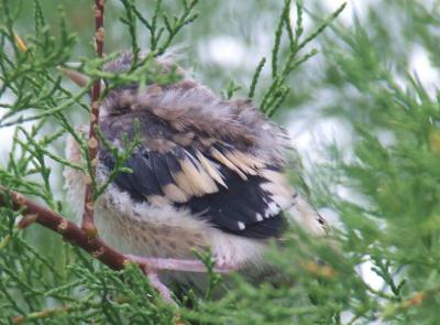 Прикрепленное изображение: b4.jpg